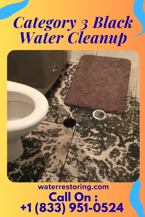 Category 3 Black Water Cleanup in Mesa, CA